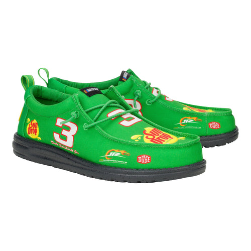 Wally NASCAR Dale Earnhardt JR. - Green/Multi - 3