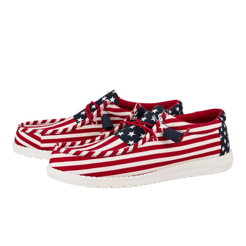 Wally Americana - American Flag - 3